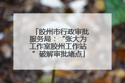 胶州市行政审批服务局：“张大为工作室胶州工作站”破解审批堵点