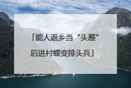 能人返乡当“头雁” 后进村蝶变排头兵