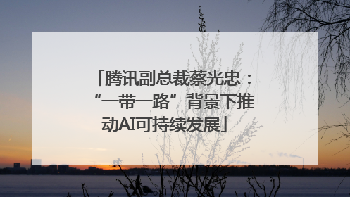 腾讯副总裁蔡光忠：“一带一路”背景下推动AI可持续发展