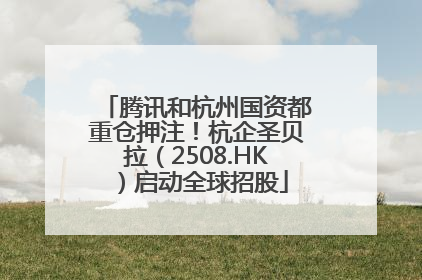 腾讯和杭州国资都重仓押注！杭企圣贝拉（2508.HK）启动全球招股