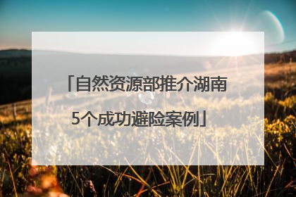 自然资源部推介湖南5个成功避险案例