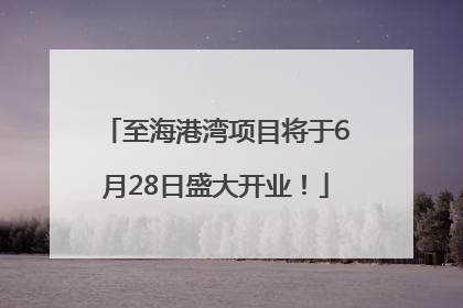 至海港湾项目将于6月28日盛大开业！