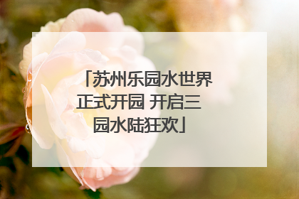 苏州乐园水世界正式开园 开启三园水陆狂欢