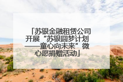 苏银金融租赁公司开展“苏银圆梦计划——童心向未来”微心愿捐赠活动