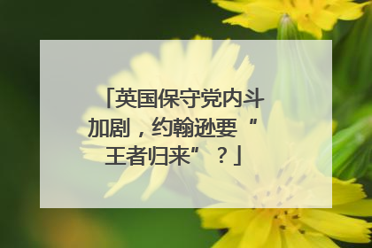 英国保守党内斗加剧，约翰逊要“王者归来”？