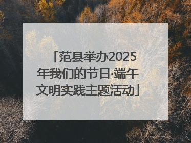 范县举办2025年我们的节日·端午文明实践主题活动