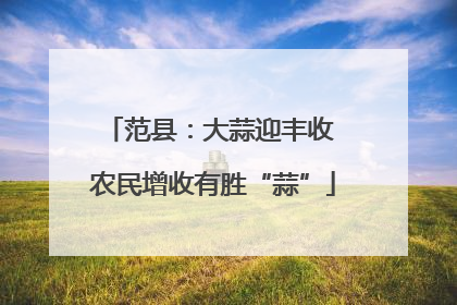 范县：大蒜迎丰收 农民增收有胜“蒜”