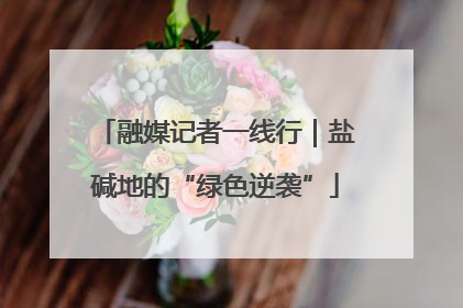 融媒记者一线行｜盐碱地的“绿色逆袭”