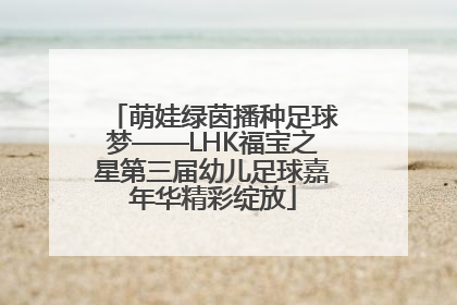 萌娃绿茵播种足球梦——LHK福宝之星第三届幼儿足球嘉年华精彩绽放