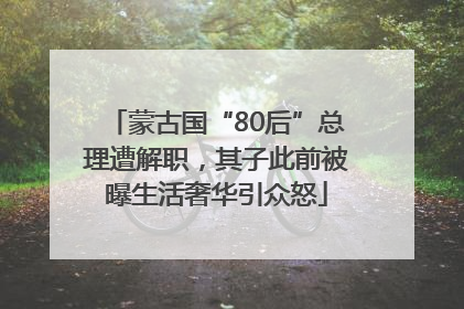 蒙古国“80后”总理遭解职，其子此前被曝生活奢华引众怒
