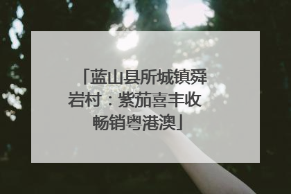 蓝山县所城镇舜岩村：紫茄喜丰收 畅销粤港澳