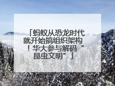 蚂蚁从恐龙时代就开始搞组织架构！华大参与解码“昆虫文明”