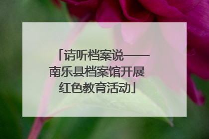 请听档案说——南乐县档案馆开展红色教育活动