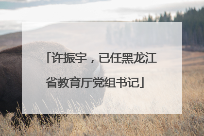 许振宇，已任黑龙江省教育厅党组书记