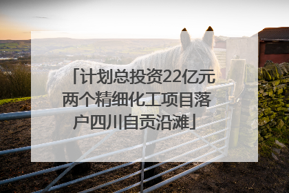 计划总投资22亿元 两个精细化工项目落户四川自贡沿滩