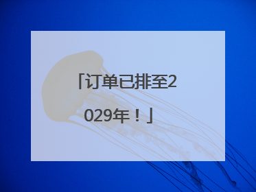 订单已排至2029年！