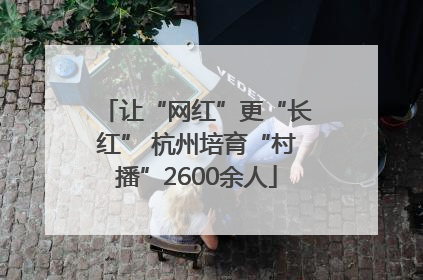 让“网红”更“长红” 杭州培育“村播”2600余人
