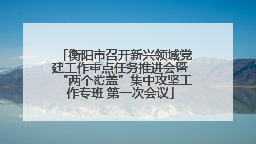 衡阳市召开新兴领域党建工作重点任务推进会暨“两个覆盖”集中攻坚工作专班 第一次会议