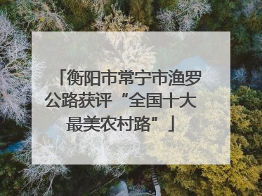 衡阳市常宁市渔罗公路获评“全国十大最美农村路”