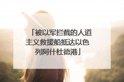 被以军拦截的人道主义救援船抵达以色列阿什杜德港