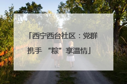 西宁西台社区：党群携手 “粽”享温情