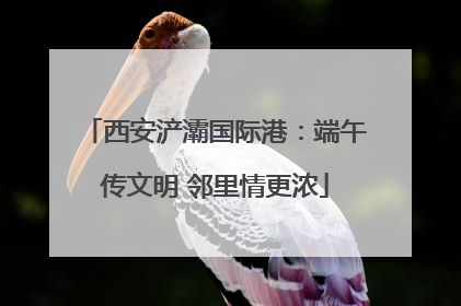 西安浐灞国际港：端午传文明 邻里情更浓