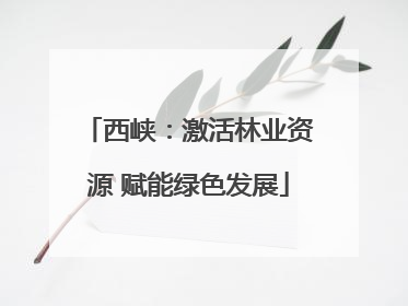 西峡：激活林业资源 赋能绿色发展