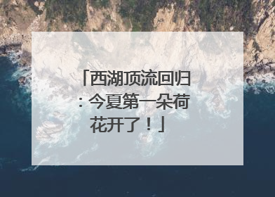 西湖顶流回归：今夏第一朵荷花开了！