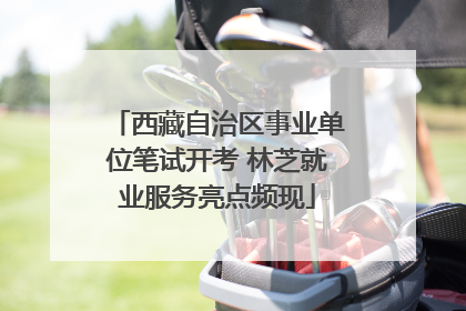 西藏自治区事业单位笔试开考 林芝就业服务亮点频现