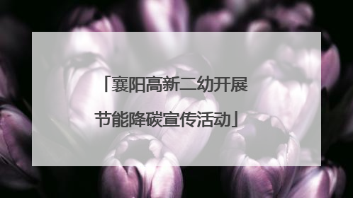 襄阳高新二幼开展节能降碳宣传活动