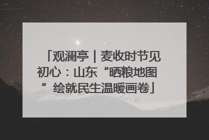观澜亭｜麦收时节见初心：山东“晒粮地图”绘就民生温暖画卷