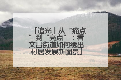 追光丨从“痛点”到“亮点”：看文昌街道如何绣出村居发展新图景
