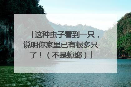 这种虫子看到一只，说明你家里已有很多只了！（不是蟑螂）