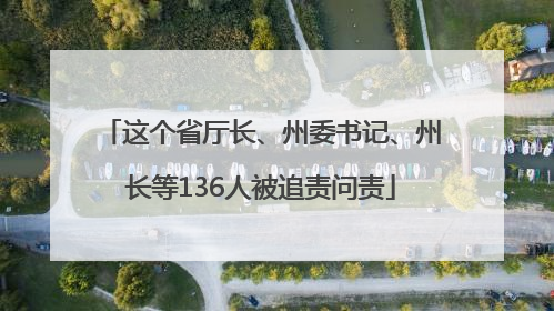 这个省厅长、州委书记、州长等136人被追责问责