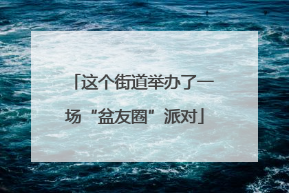 这个街道举办了一场“盆友圈”派对