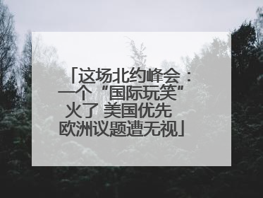 这场北约峰会：一个“国际玩笑”火了 美国优先 欧洲议题遭无视