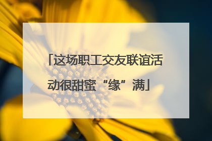 这场职工交友联谊活动很甜蜜“缘”满