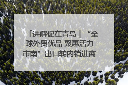进解促在青岛｜“全球外贸优品 聚惠活力市南”出口转内销进商超专场活动启动