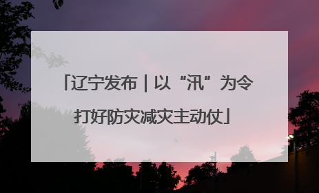辽宁发布｜以“汛”为令 打好防灾减灾主动仗