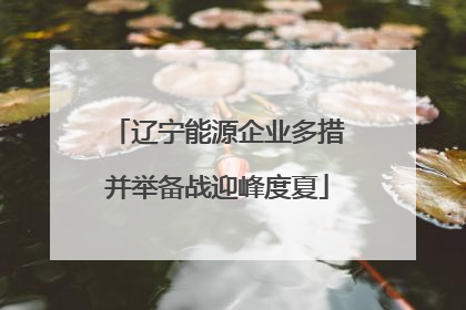 辽宁能源企业多措并举备战迎峰度夏