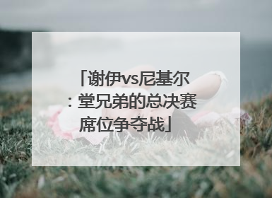 谢伊vs尼基尔：堂兄弟的总决赛席位争夺战