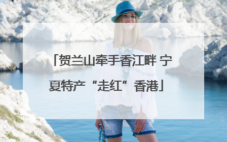 贺兰山牵手香江畔 宁夏特产“走红”香港