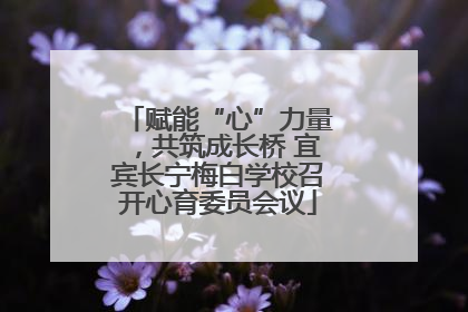赋能“心”力量，共筑成长桥 宜宾长宁梅白学校召开心育委员会议