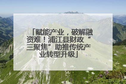 赋能产业，破解融资难！浦江县财政“三聚焦”助推传统产业转型升级