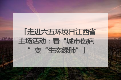 走进六五环境日江西省主场活动：看“城市伤疤”变“生态绿肺”