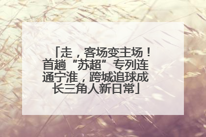 走，客场变主场！首趟“苏超”专列连通宁淮，跨城追球成长三角人新日常