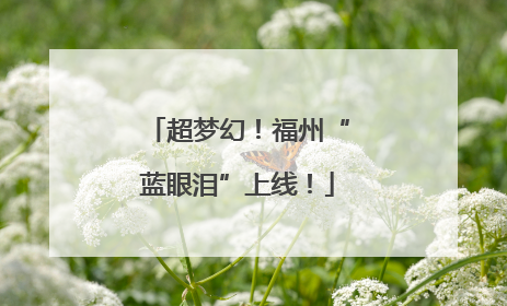超梦幻！福州“蓝眼泪”上线！