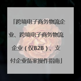 跨境电子商务物流企业、跨境电子商务物流企业（仅B2B）、支付企业备案操作指南