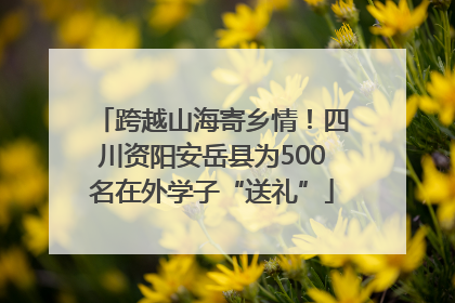 跨越山海寄乡情！四川资阳安岳县为500名在外学子“送礼”