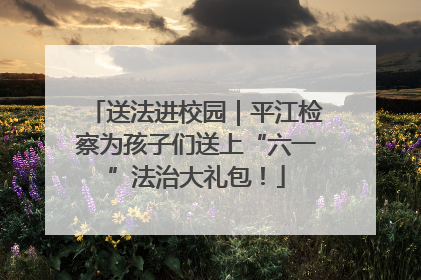 送法进校园｜平江检察为孩子们送上“六一”法治大礼包！
